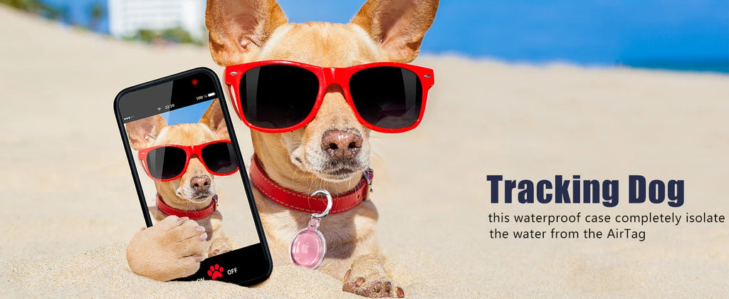 TrackGuard | AirTag Protective Keychain