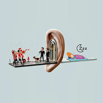 Silicone Noise-Reducing Earplugs