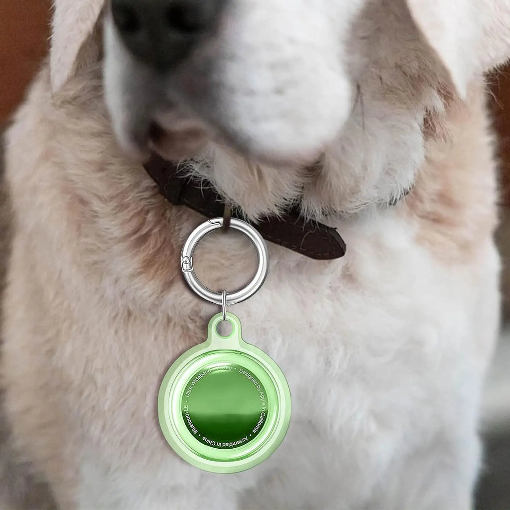 TrackGuard | AirTag Protective Keychain