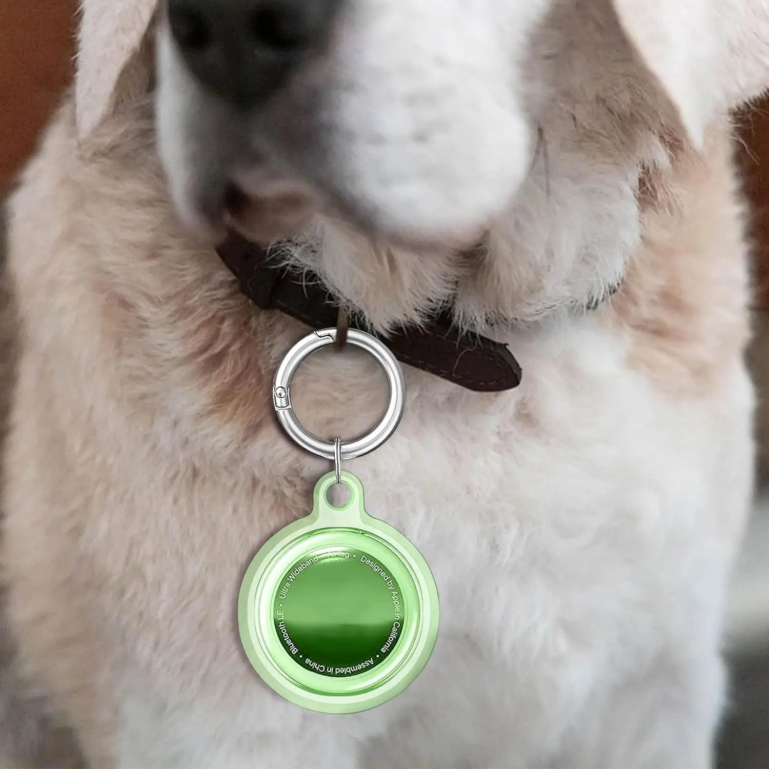 TrackGuard | AirTag Protective Keychain